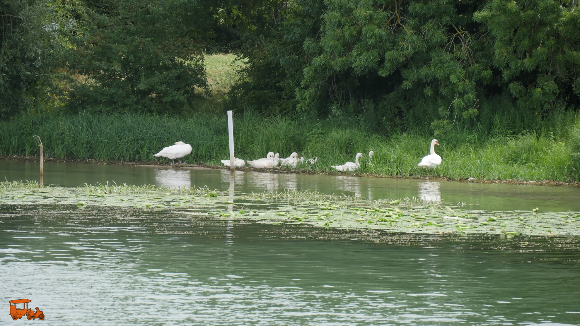 saone-delta-1980-16 DxO